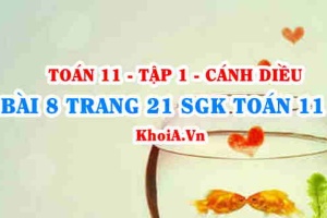 Bài 8 trang 21 SGK Toán 11 tập 1 Cánh Diều